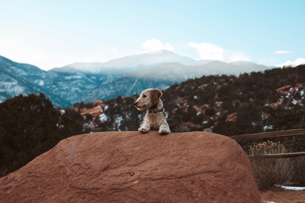 First Client of the&nbsp;Year!